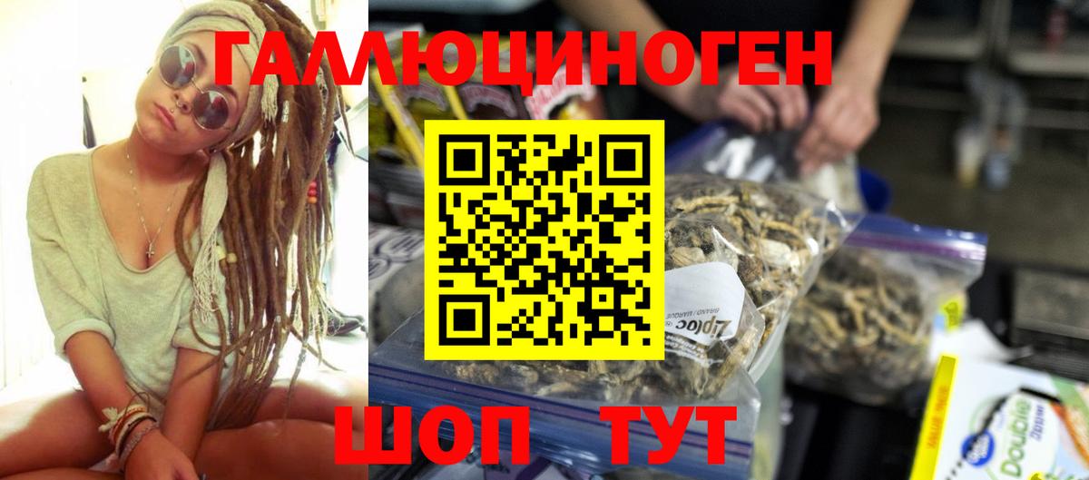 Псилоцибиновые грибы мицелий  Вход с VPN  Владивосток  Псилоцибиновые грибы Magic Shrooms 